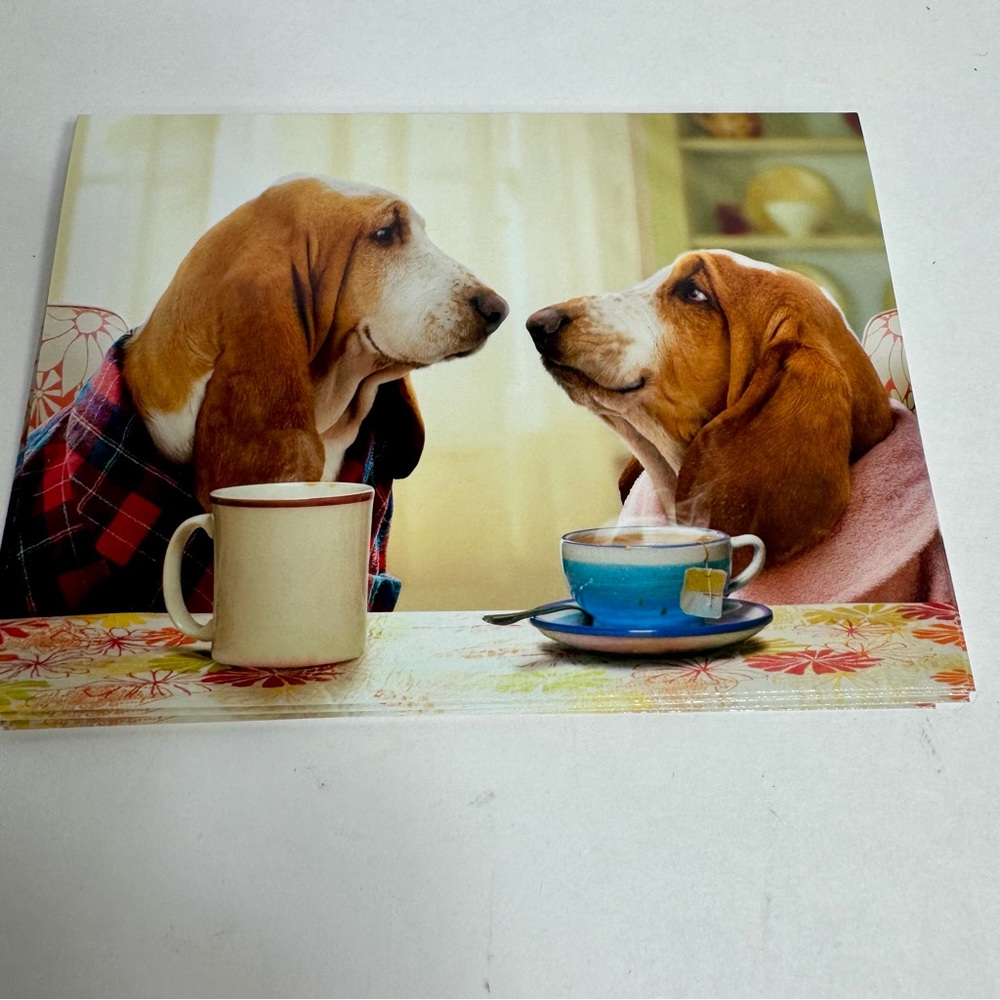 6 Avanti Greeting cards - dog couple drinking coffee 
Holiday: Valentine’s Day